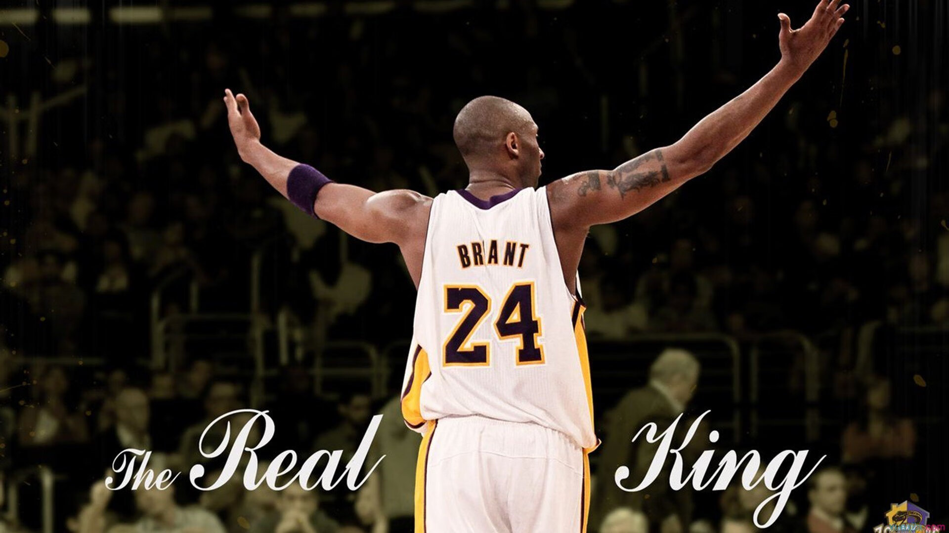 美洲杯明星竞技：绝佳表现点燃全场！，美洲杯个人榜