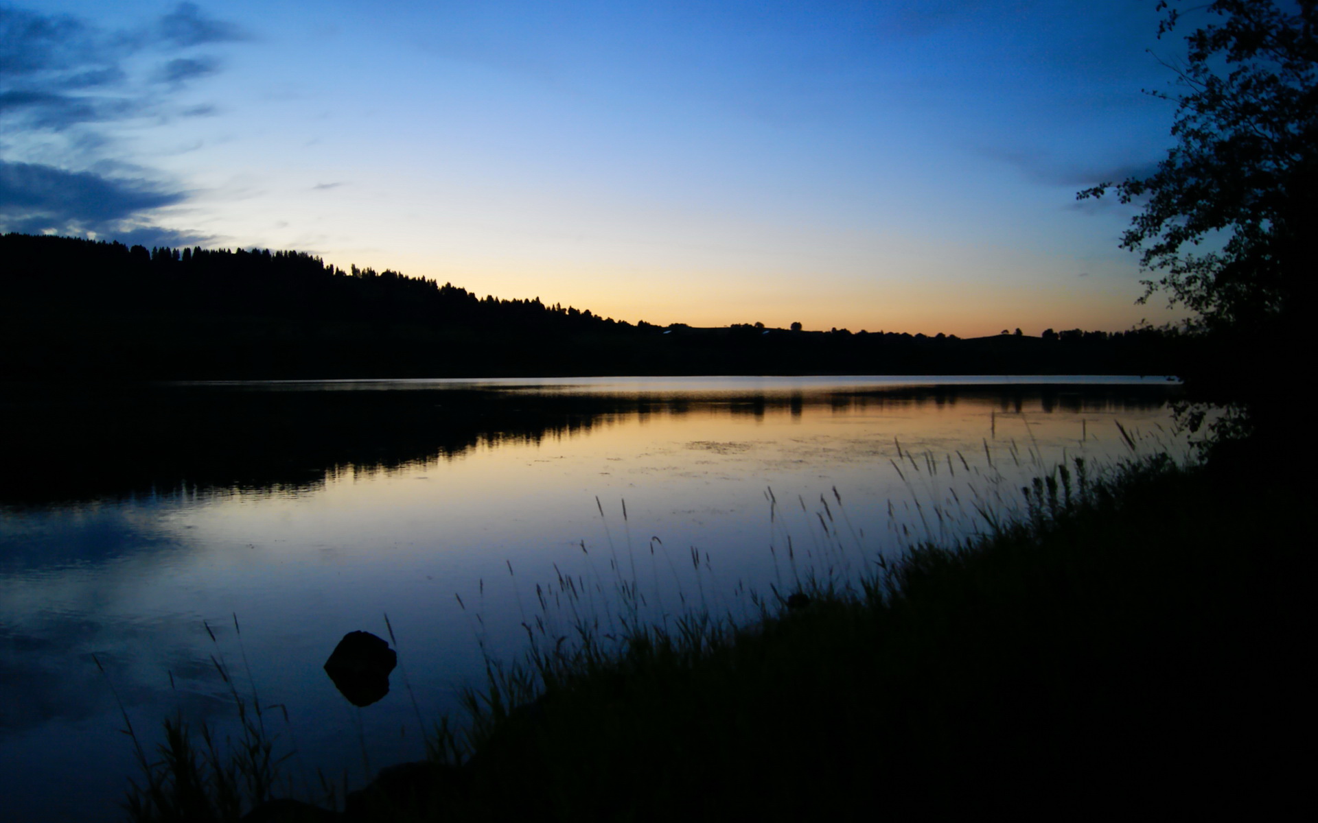 爱游戏娱乐-WRC车手风采：谁将领跑新赛季？，wrc2021车队及车手